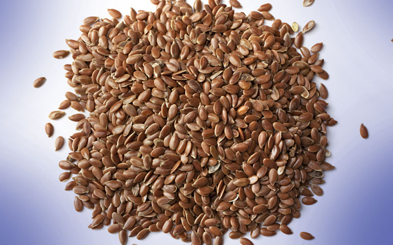 news-seed