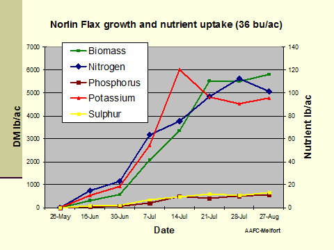 Norlin Flax