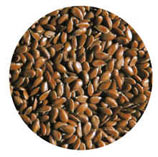 brown_seed