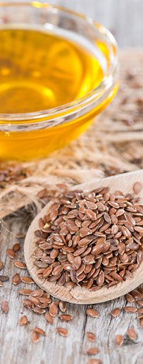 intro-flax