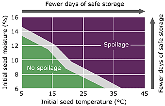 safe storage