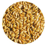yellow_seed