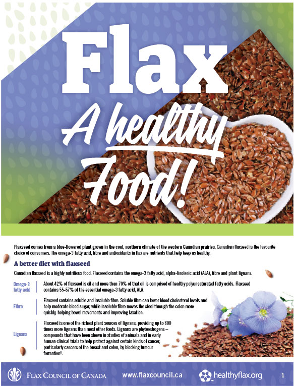 Flax - A Healthy Food Brochure