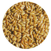 yellow_seed